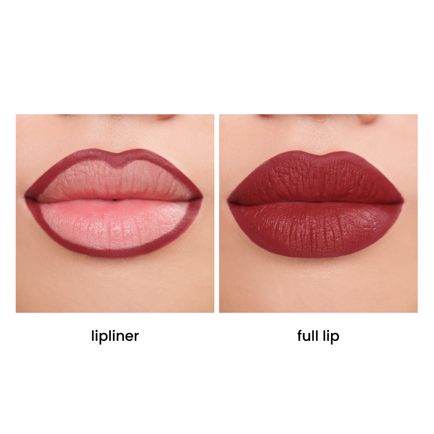 Lip Contour